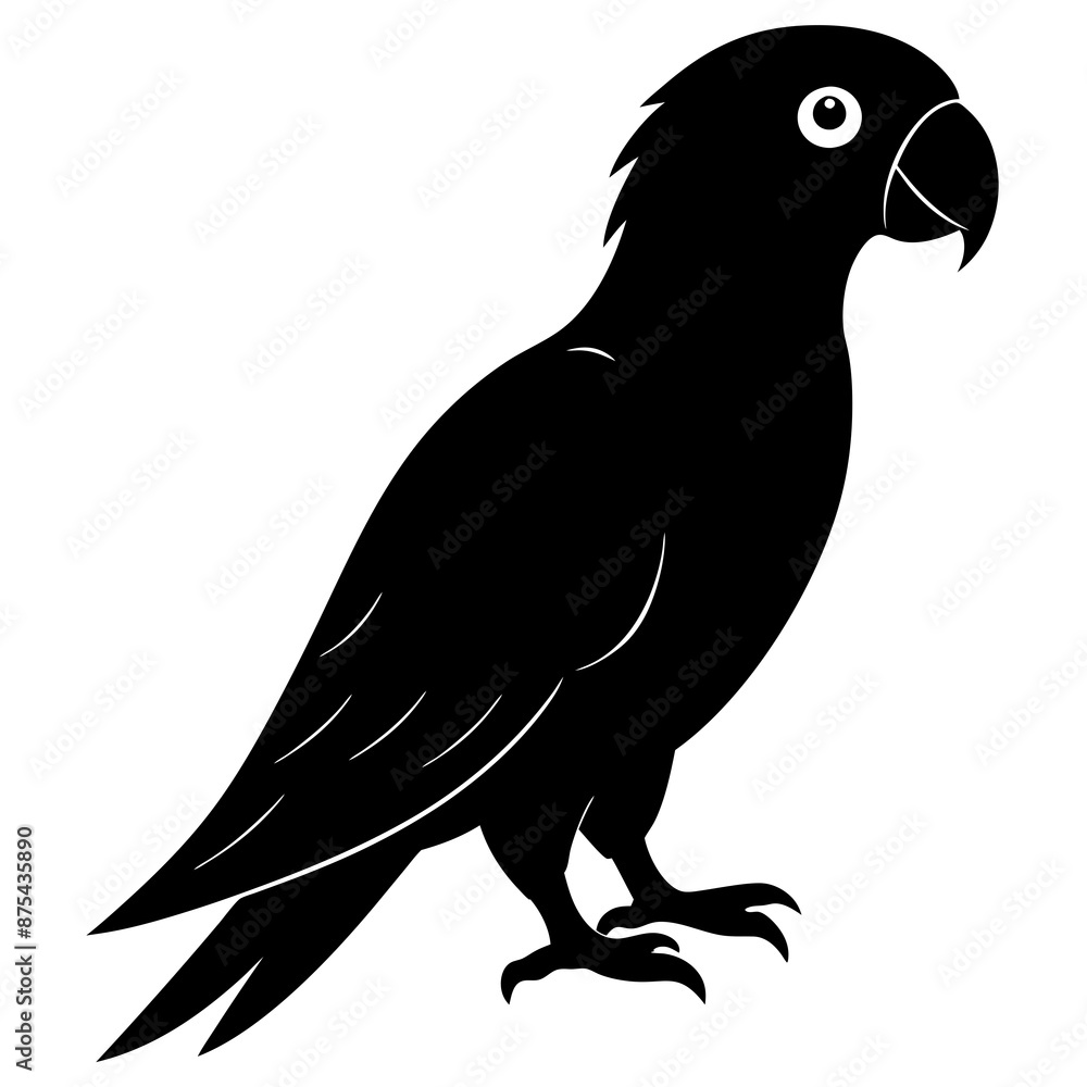 Fototapeta premium Parrot vector illustration, bird isolated on white, Parrot silhouette, Parrot vector art