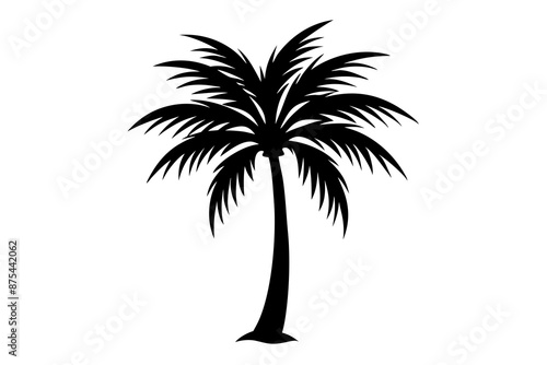 palm tree silhouette vector illustration