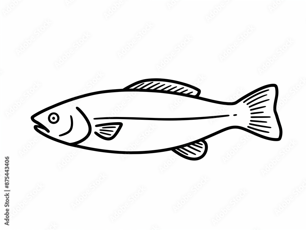 fish on a white background