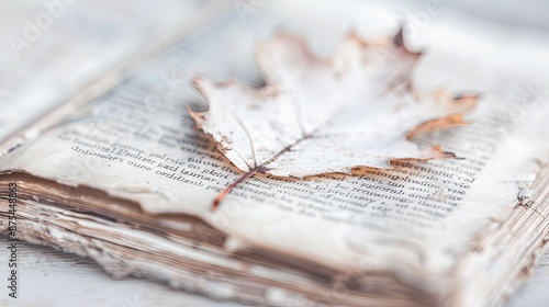 Single Dried Leaf Bookmark in Old Book Back to School Concept Image