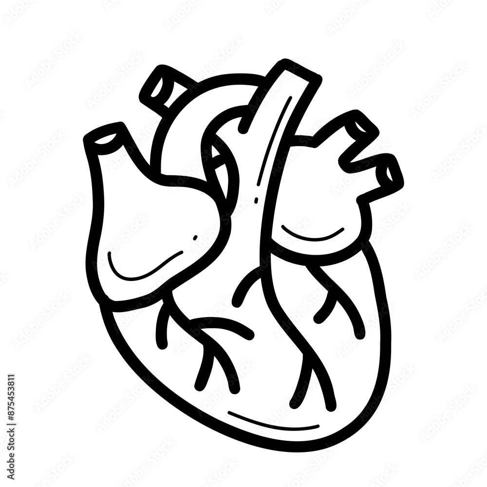 Organ heart in a doodle style isolated on white background. Organ heart in a doodle style isolated on white background.