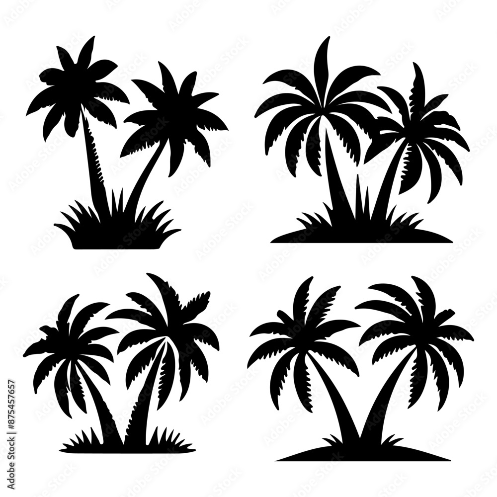 Fototapeta premium Tall tropical tree with large versatile and feathery leaves 
