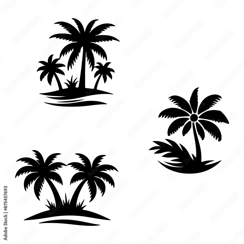 Fototapeta premium Tall tropical tree with large versatile and feathery leaves 