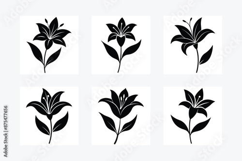 Lily flower silhouette vector illustration