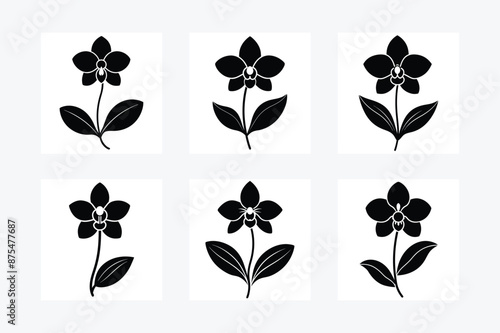 Orchid flower silhouette vector illustration