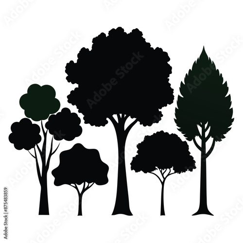 various deciduous trees silhouettes on a white background isolated from any distractions 