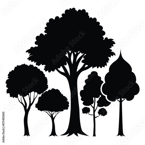 various deciduous trees silhouettes on a white background isolated from any distractions 