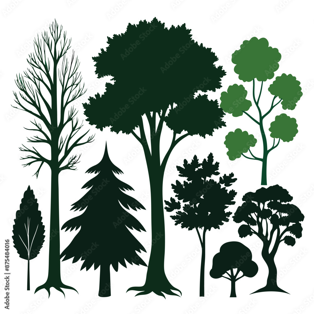 Fototapeta premium various deciduous trees silhouettes on a white background isolated from any distractions 