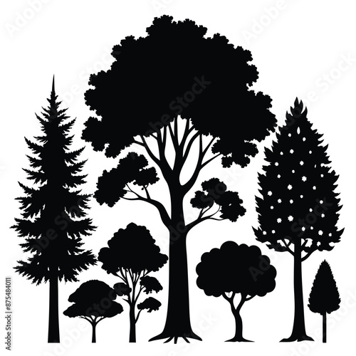 various deciduous trees silhouettes on a white background isolated from any distractions 