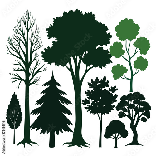 various deciduous trees silhouettes on a white background isolated from any distractions 