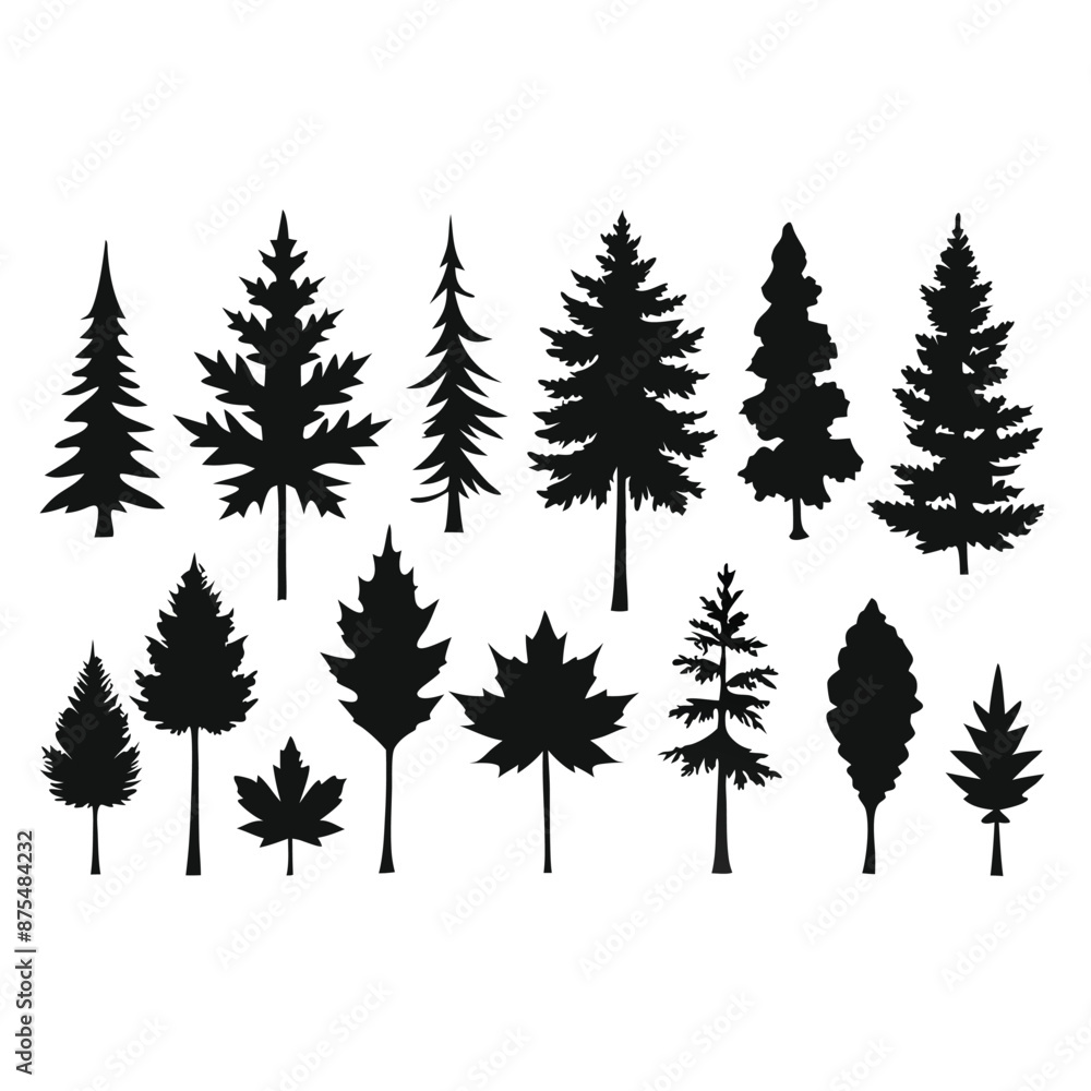 Obraz premium various maple field leaf silhouettes on a white background isolated 
