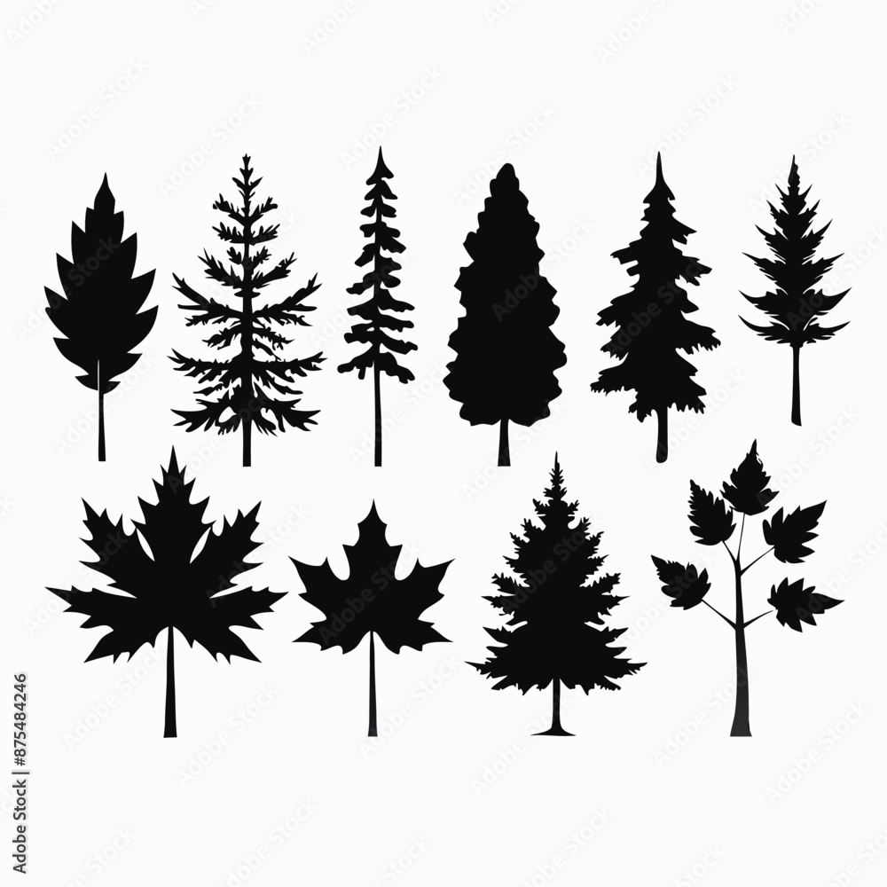Obraz premium various maple field leaf silhouettes on a white background isolated 