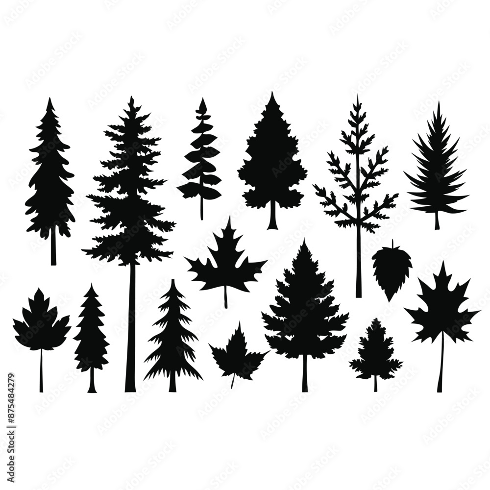 Fototapeta premium various deciduous trees silhouettes on a white background isolated from any distractions 