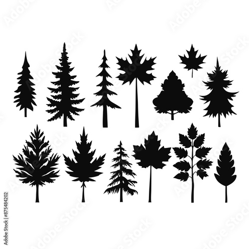 Wallpaper Mural various maple field leaf silhouettes on a white background isolated  Torontodigital.ca
