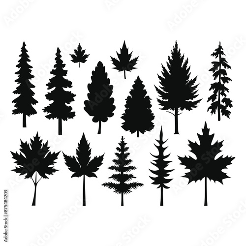various deciduous trees silhouettes on a white background isolated from any distractions 
