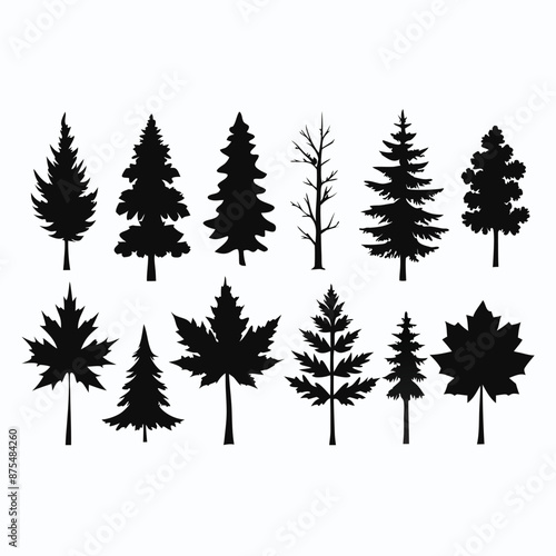 various deciduous trees silhouettes on a white background isolated from any distractions 