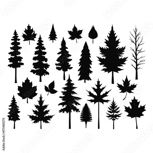 various deciduous trees silhouettes on a white background isolated from any distractions 