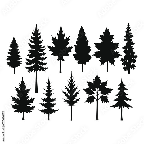 various deciduous trees silhouettes on a white background isolated from any distractions 