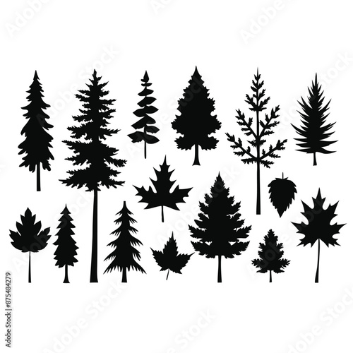 various deciduous trees silhouettes on a white background isolated from any distractions 