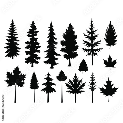 various deciduous trees silhouettes on a white background isolated from any distractions 