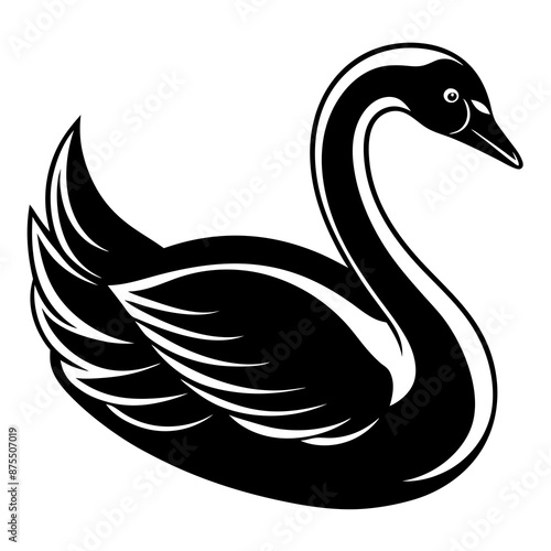 black and white swan © Kanay
