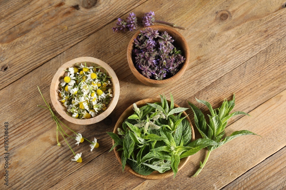 Different healing herbs in bowls on wooden table, flat lay Different healing herbs in bowls on wooden table, flat lay