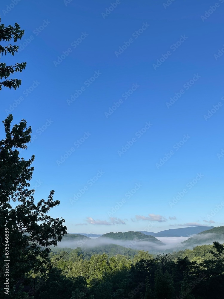Obraz premium Morning mist over the mountains of West Virginia
