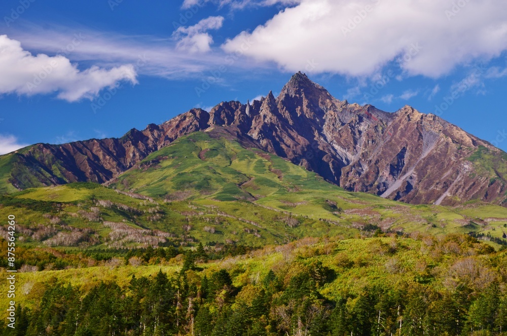Naklejka premium 青空に映える利尻富士