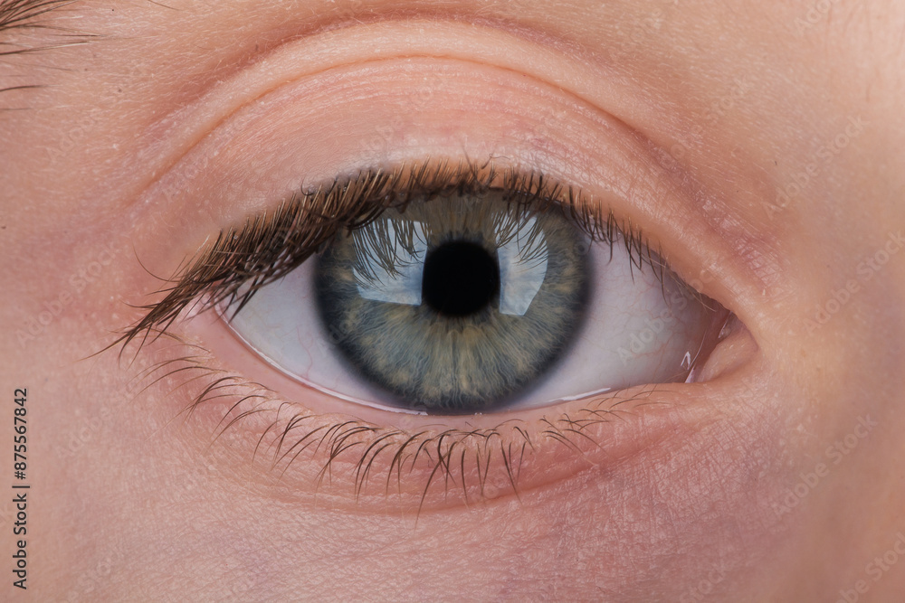Obraz premium Macro photo of beautiful green girl's eye looking straight into the camera. Close up child's eye.
