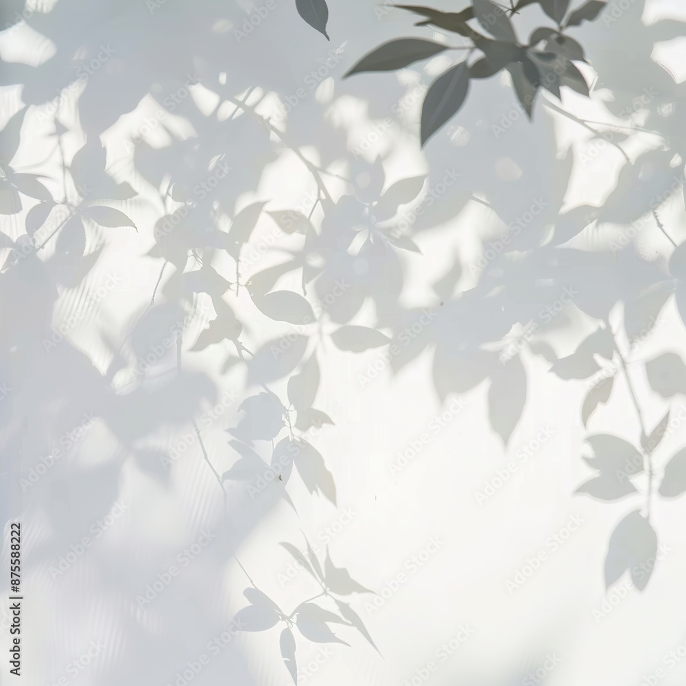 Leaf Shadows on White Background. Leaf Shadows on White Background.