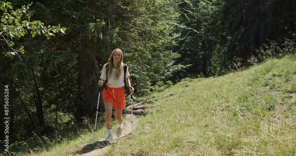 Obraz premium Young female hiker exploring scenic mountain trails, a solo adventure with trekking poles along a forest path, embracing the beauty of nature and outdoor recreation in a lush mountainous landscape.