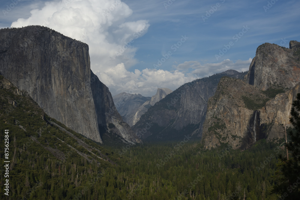 Fototapeta premium Yosemite NP - Yosemite Valley