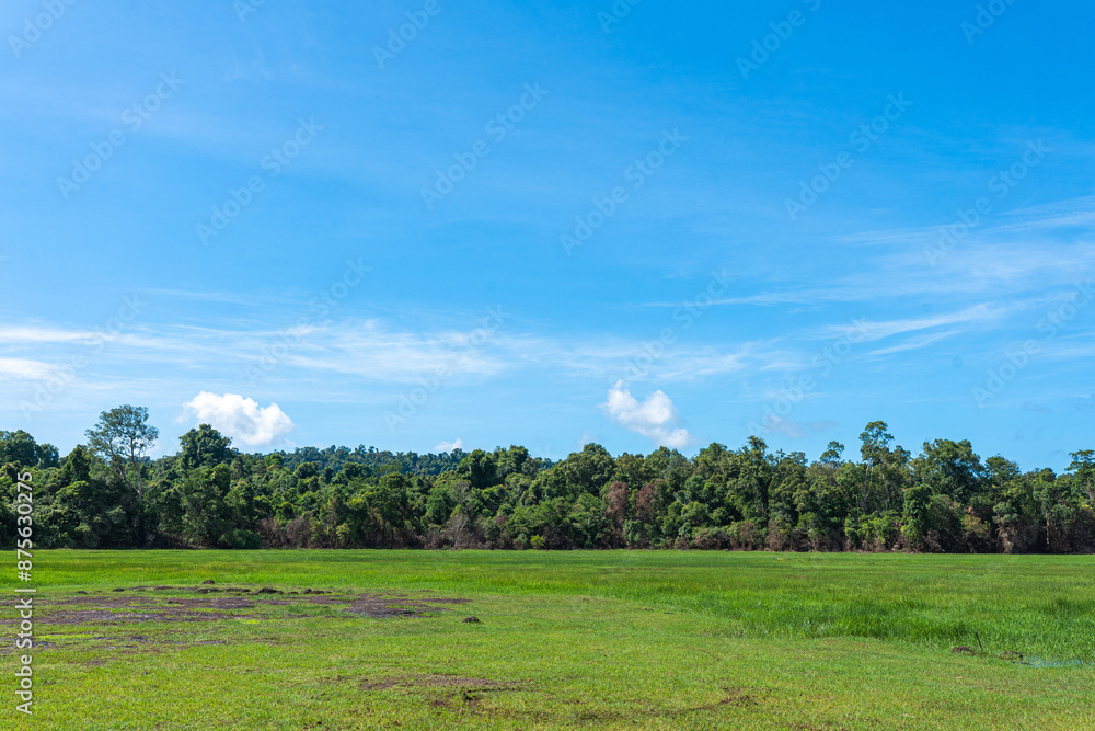 Scenic Rural Landscape with Blue Sky and Trees Scenic Rural Landscape with Blue Sky and Trees