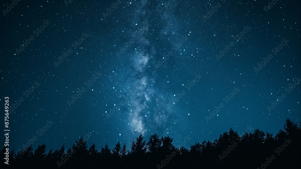 Obraz premium A long-exposure photograph of a starry night sky with copy space