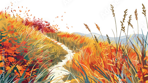 A path on a hillside with tall grasses and grasses 