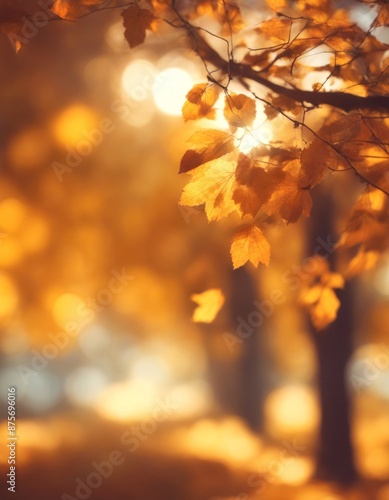 autumn natural orange leaf sun bokeh fall landscape background leaves golden red maple space yellow nature copy season