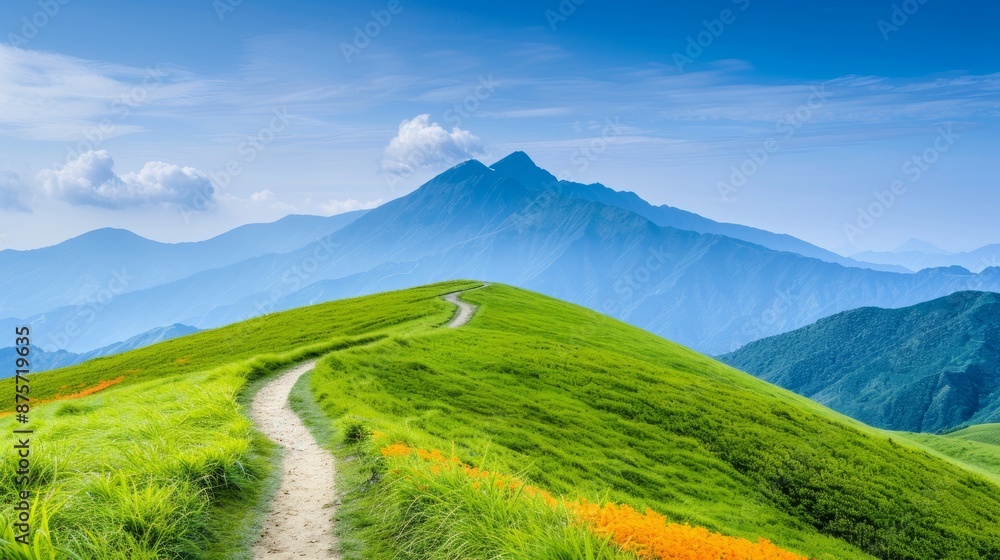 Fototapeta premium A winding path leads up a grassy hill towards a mountain range under a clear blue sky.