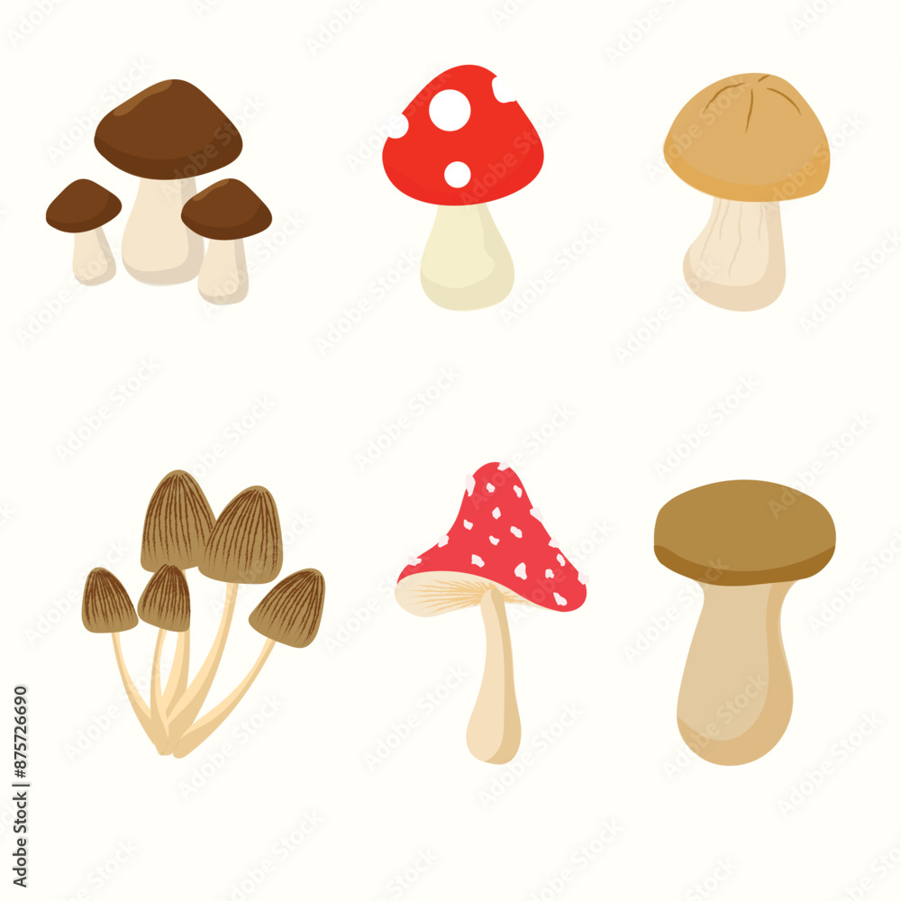 Mushroom set Mushroom set