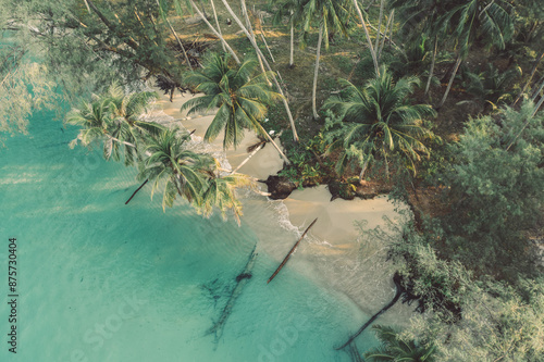 Summer vacation in Tropical paradise, Beautiful tropical beach with scenery palm and azure ocean water on nature background photo