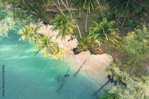 Summer vacation in Tropical paradise, Beautiful tropical beach with scenery palm and azure ocean water on nature background photo