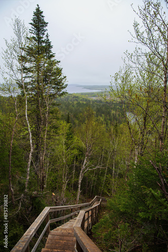 A scenic view unfolds from a wooden stairway of Rowsell's Hill Nature Trail in Point Leamington, showcasing the Point Leamington Harbour Bay in the distance. The trail spans 1.5 km to the summit. photo