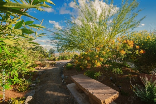 Catus plants and desert flora and fauna at the Red Hills Desert Garden, St. George, Utah, United States of America.