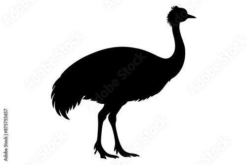 Cassowary silhouette vector art illustration