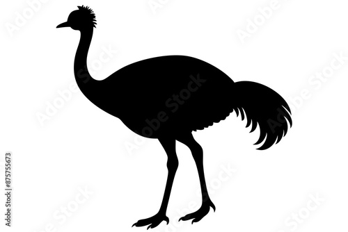 Cassowary silhouette vector art illustration