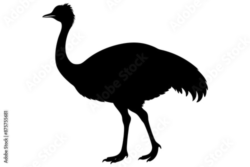 Cassowary silhouette vector art illustration