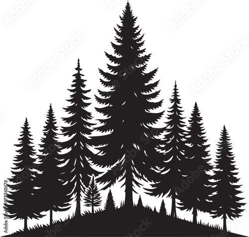 Pine tree forest fir tree silhouette