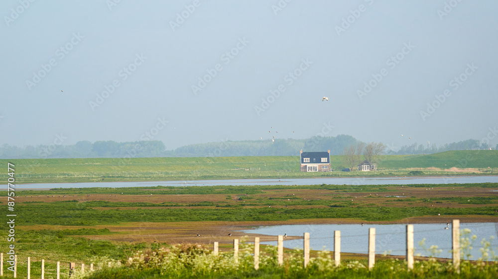 Fototapeta premium Landscape of wildlife sanctuary. House in Breton style. Blue sky on a sunny summer day. Netherlands, Oosterschelde, Zeeland.
