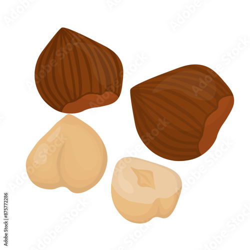 Set of hazelnuts with and without shell, healthy nutritious product for design