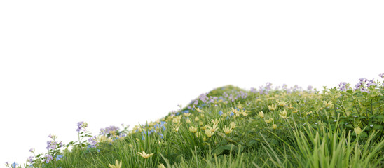 A green hill blooming with yellow and blue flowers in spring. 3D rendering.