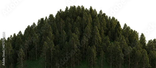 Fototapeta Naklejka Na Ścianę i Meble -  A large hill densely covered with large coniferous trees. 3D rendering.
